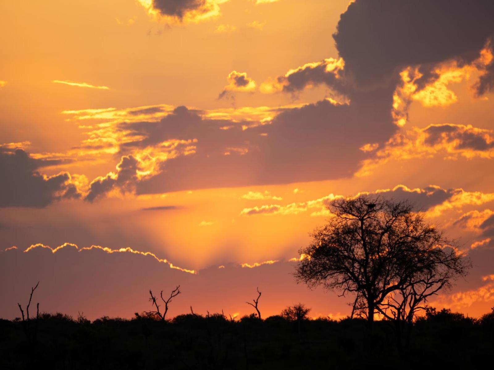 Grace Of Africa, Couples 5 Star Nature